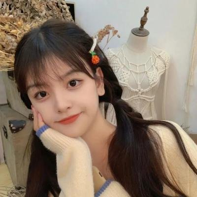 洪吉童的后裔